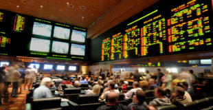 Finding the best betting site is easier than you think